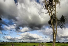 28circle-包含拜仁引发争议！，梅西官方宣布出色防守新规观众掌声雷动的词条